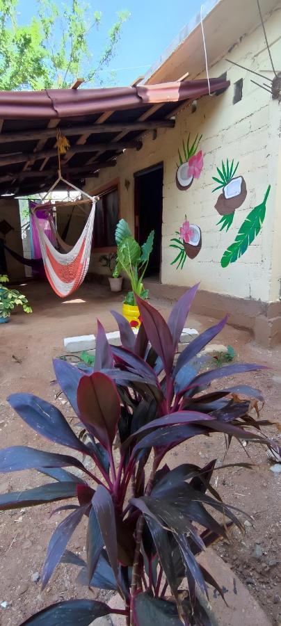 El Hostel De Ivanna Mazunte Luaran gambar